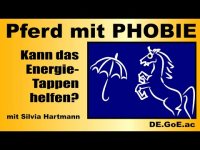Pferd mit Phobie:  Kann Energietappen helfen?
